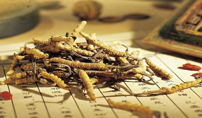 蓮生中醫(yī)藥民間秘方網